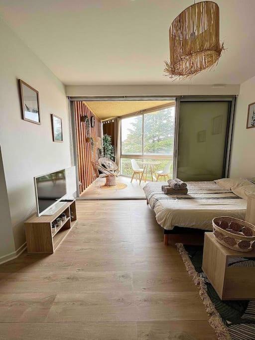 The Jungle Studio, Loggia & Parking Dans Romans-sur-Isère